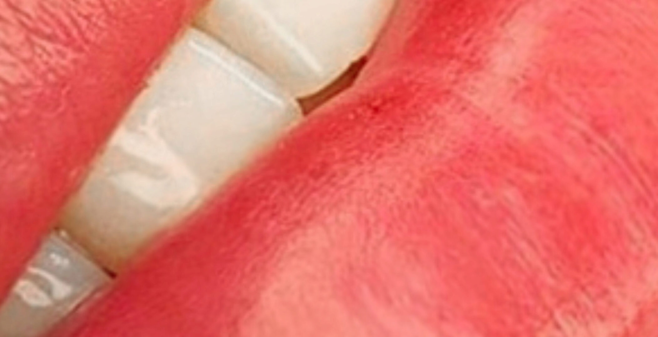 Russian lips. Губки Плоский Бант (Антонина Гуз)