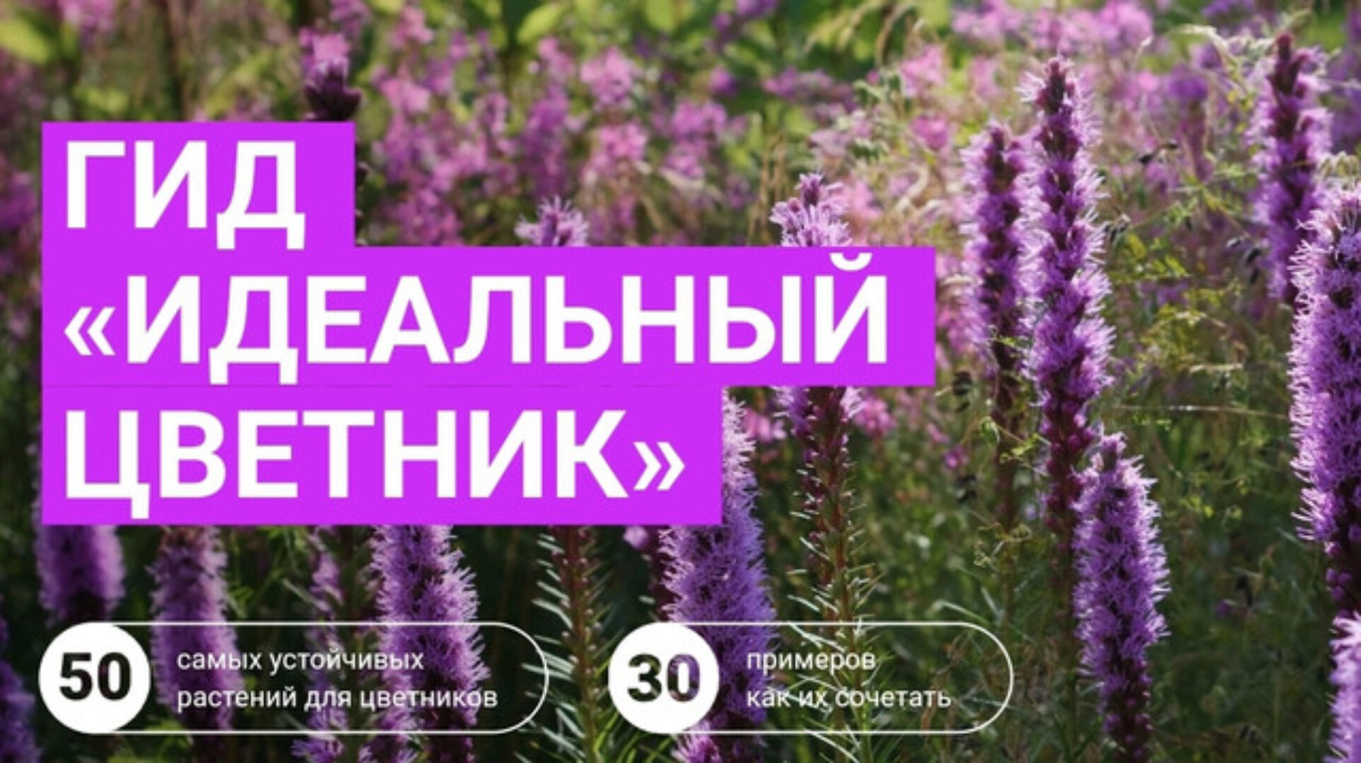 Идеальный цветник (Марина Берестова)