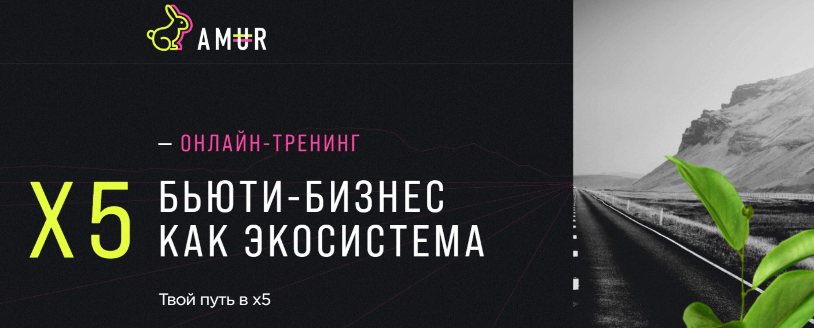 Х5. Бьюти бизнес как экосистема. Тариф Profi (Анна Мурнина)