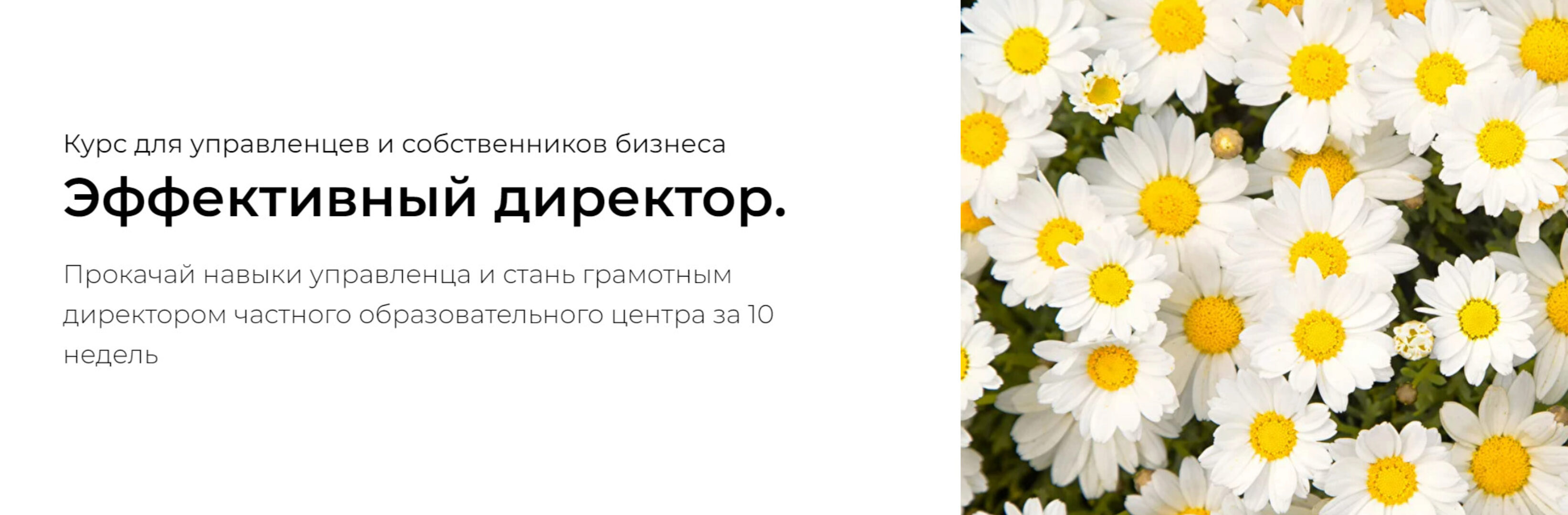 Эффективный директор. Тариф Профи (Наталья Батиг)