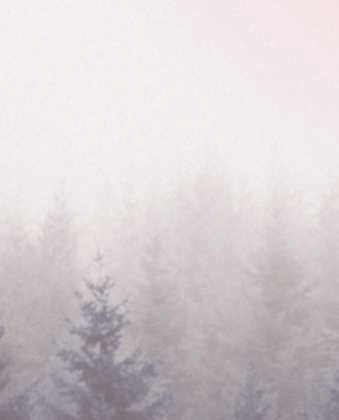 Остеопатия с беременными и детьми (Чикуров Юрий Валентинович)