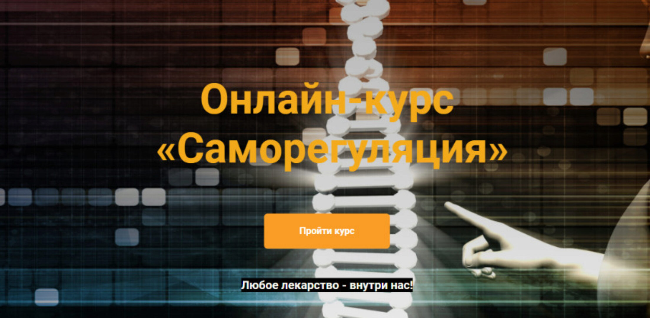 [Vorontsov studio] Саморегуляция (Роман Воронцов)