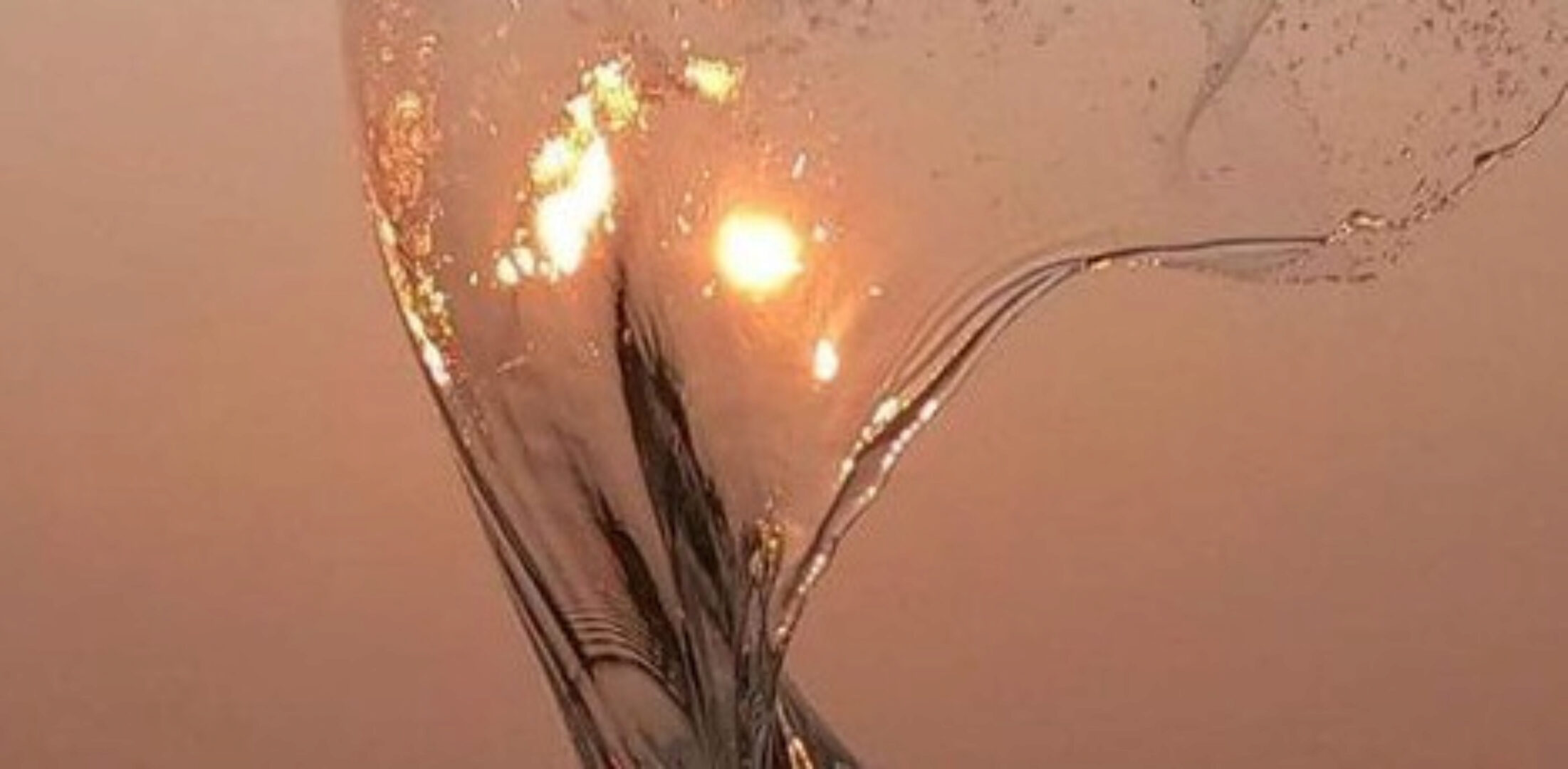 [Джйотиш-клуб] Предсказания через Амавасью (Анна Атменеева)