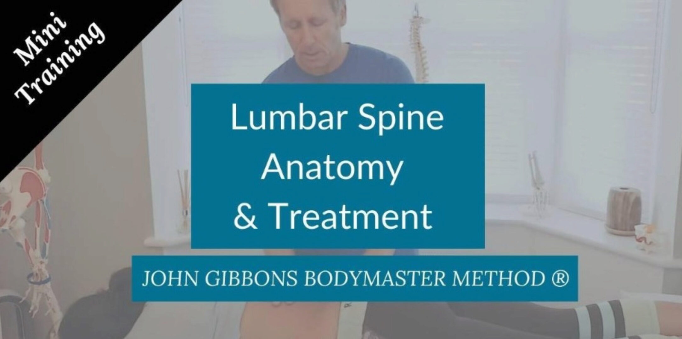 Анатомия и лечение поясничного отдела позвоночника (Джон Гиббонс)