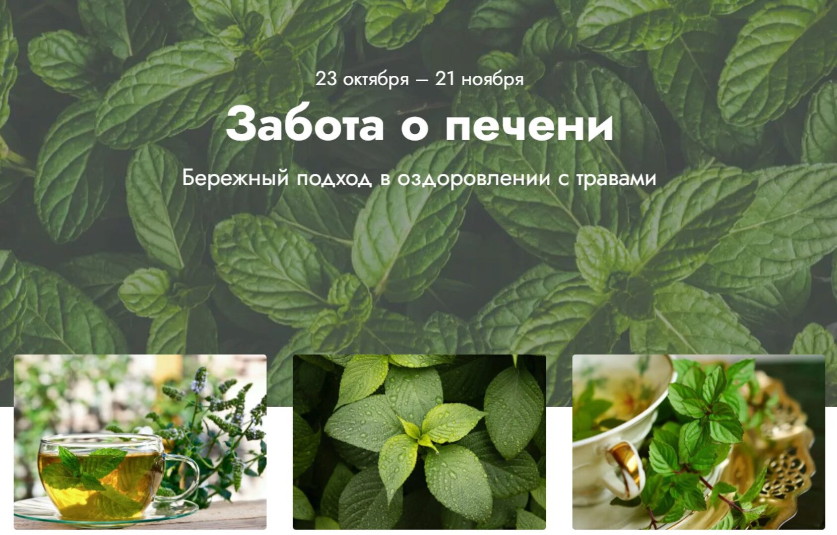 Забота о печени. Тариф Эффективный (Светлана Калмыкова)