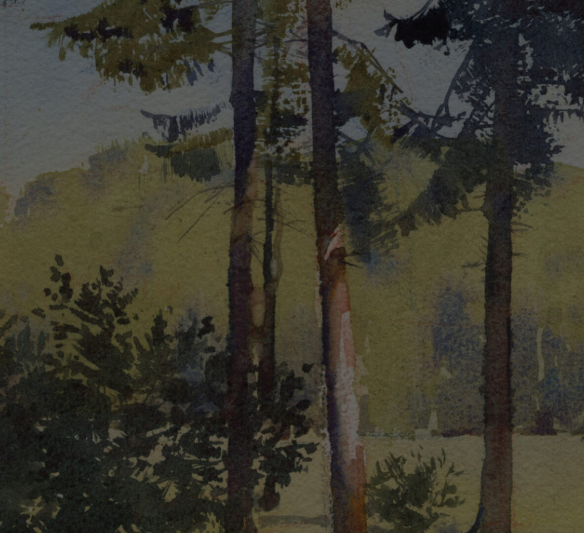 [artefactoschool] Построение акварельного пейзажа. Тариф Стандарт (Антон Батов)