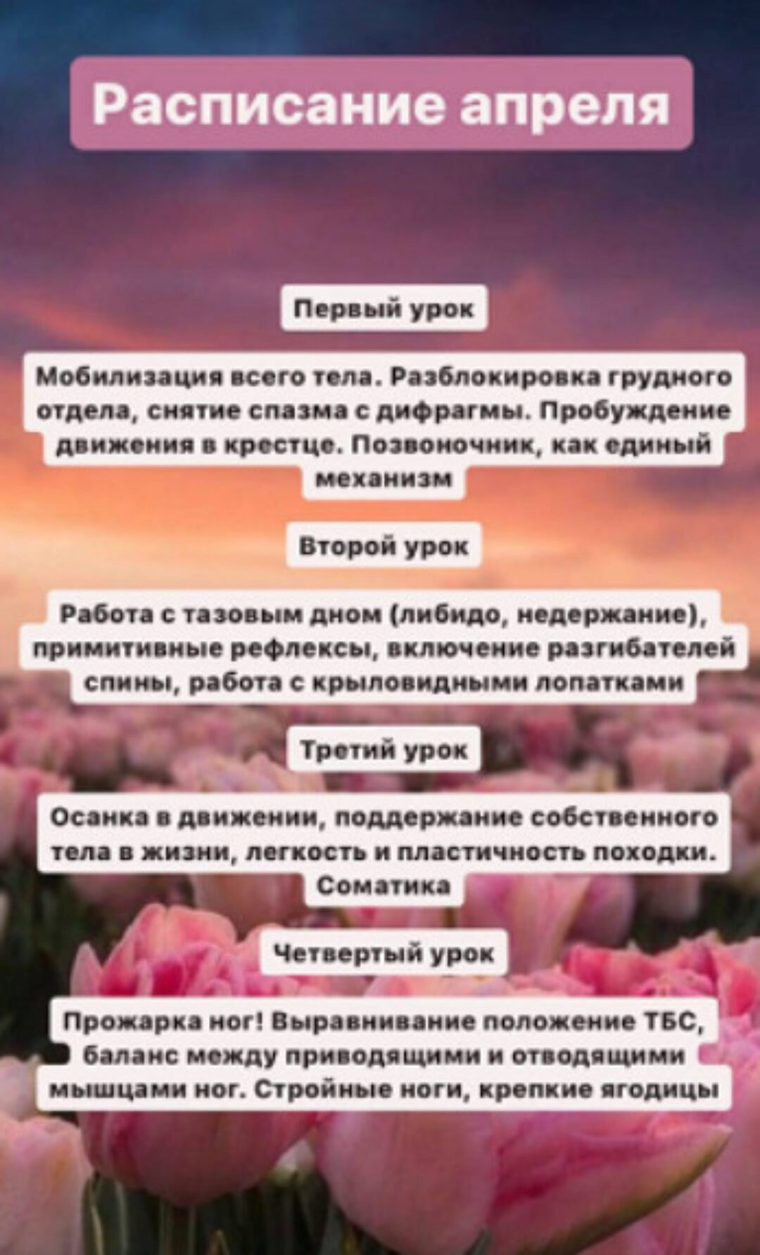 [chasnyk_stylist_body] Клуб. Апрель 2024 (Ксения Часнык)