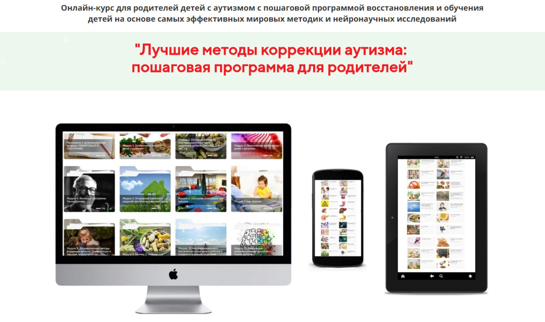 Лучшие методы коррекции аутизма: пошаговая программа для родителей. Пакет Стандарт (Ирина Воронова)