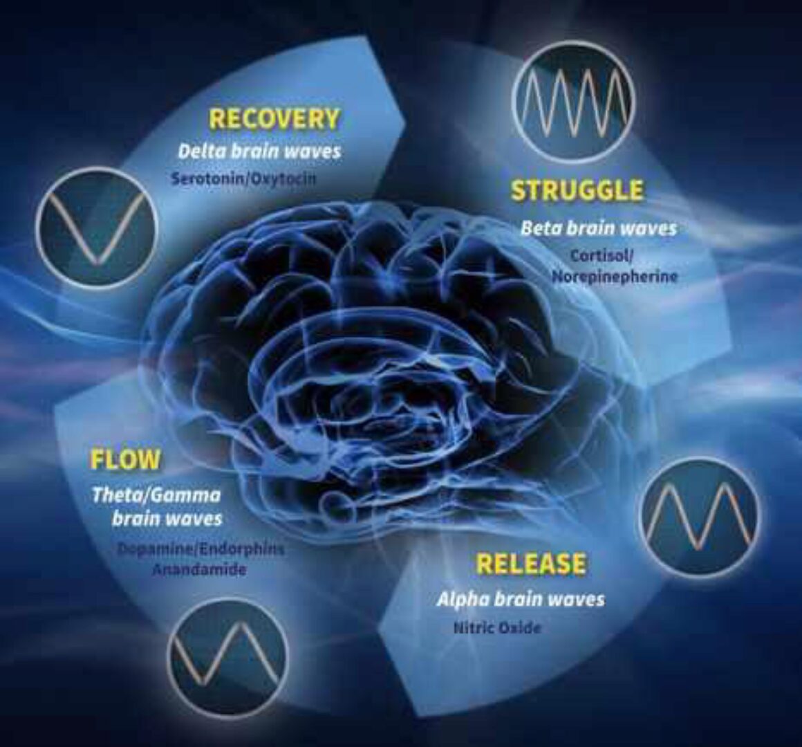 Преподаватель «Flow Tribal» (Анна Лесная)