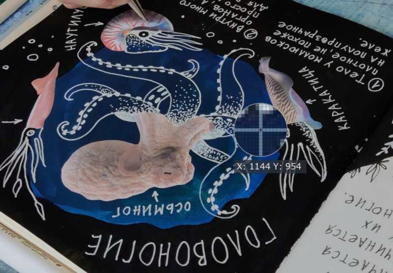 [HurlyBurlySchool] 2 блок годового курса «Окружающий мир» (Оля Сафонова, Даша Сафонова)