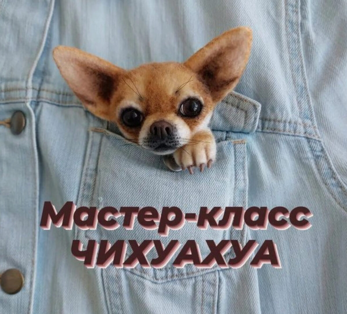 Брошь Чихуахуа (Марина Грубер)