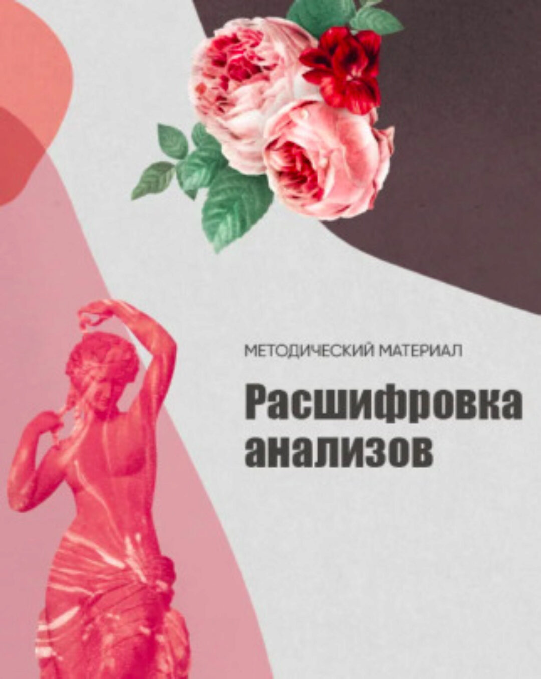 Методичка Расшифровка анализов (Инна Рудович)