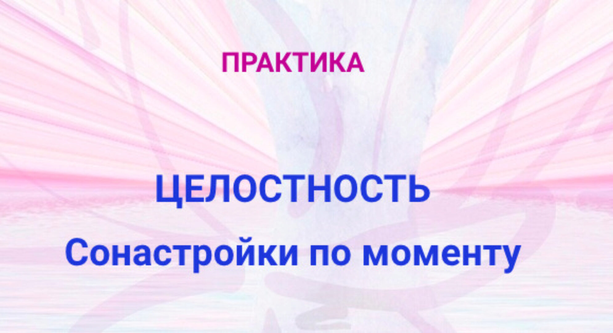 Практика Целостность сонастройки моменту (Эмилия Франк)