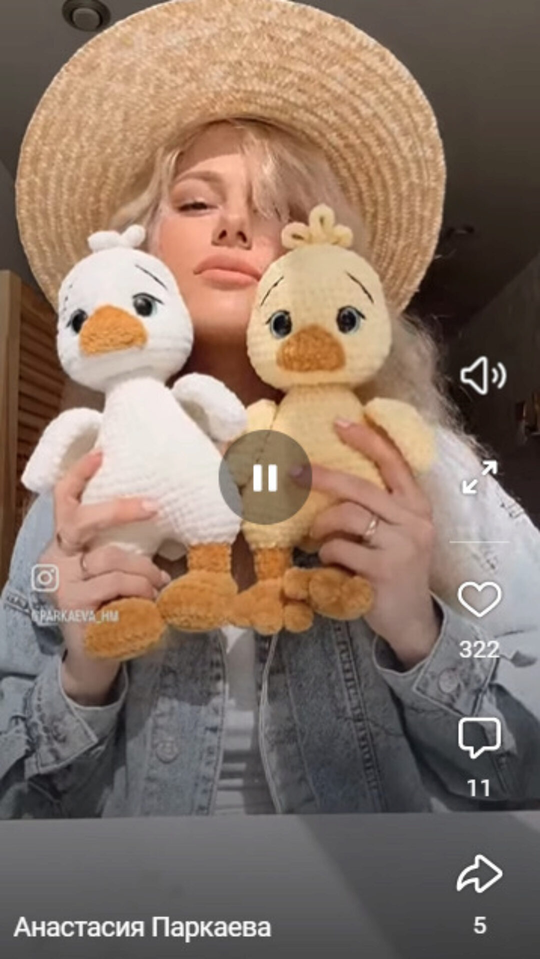 Цыплёнок и Гусь. Кря Кря (Анастасия Паркаева)