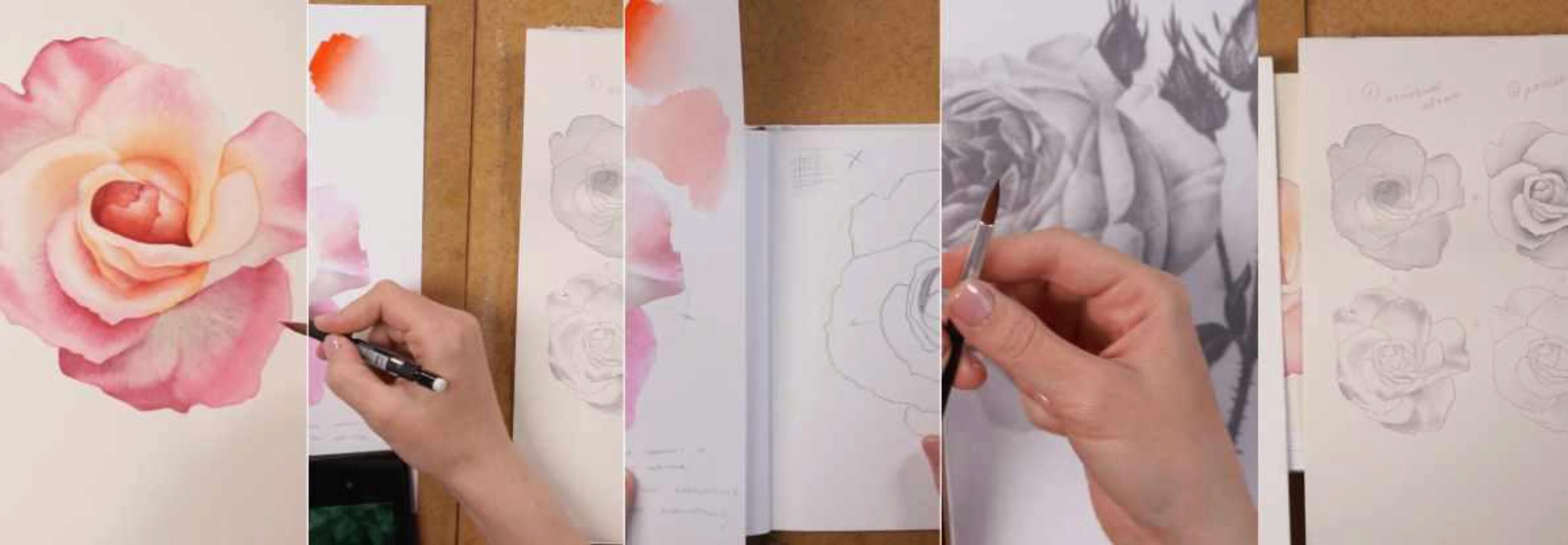 Все о розах. Практика (Светлана Лансе)