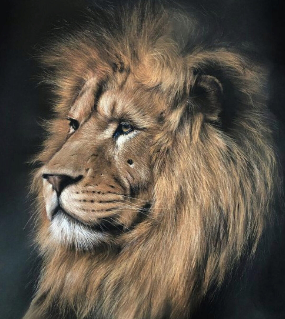 Король лев. Тариф С Ирой на год (Ирина Кукрусова)