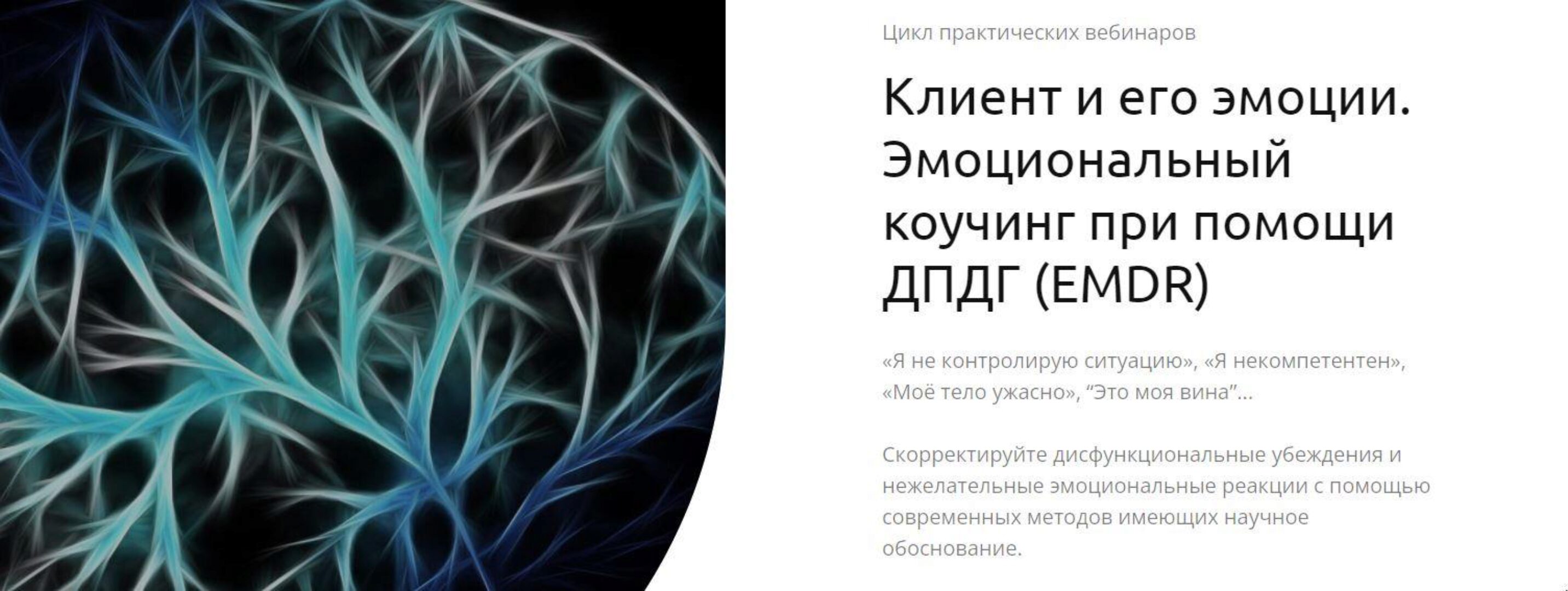 Клиент и его эмоции. Эмоциональный коучинг при помощи ДПДГ (EMDR) (Андрей Шаповалов)
