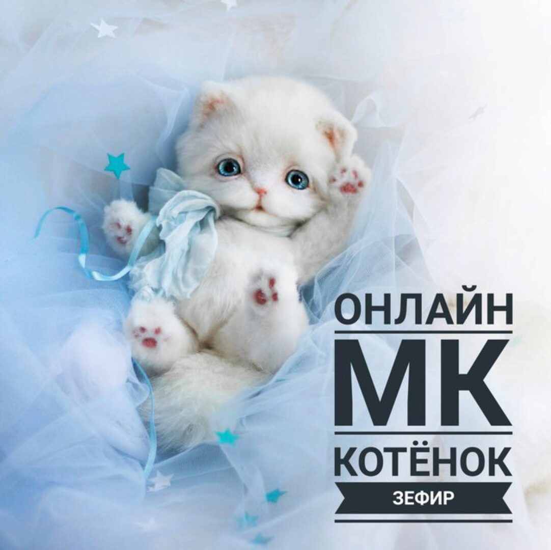 Котёнок Зефир (Инна Борзенкова)