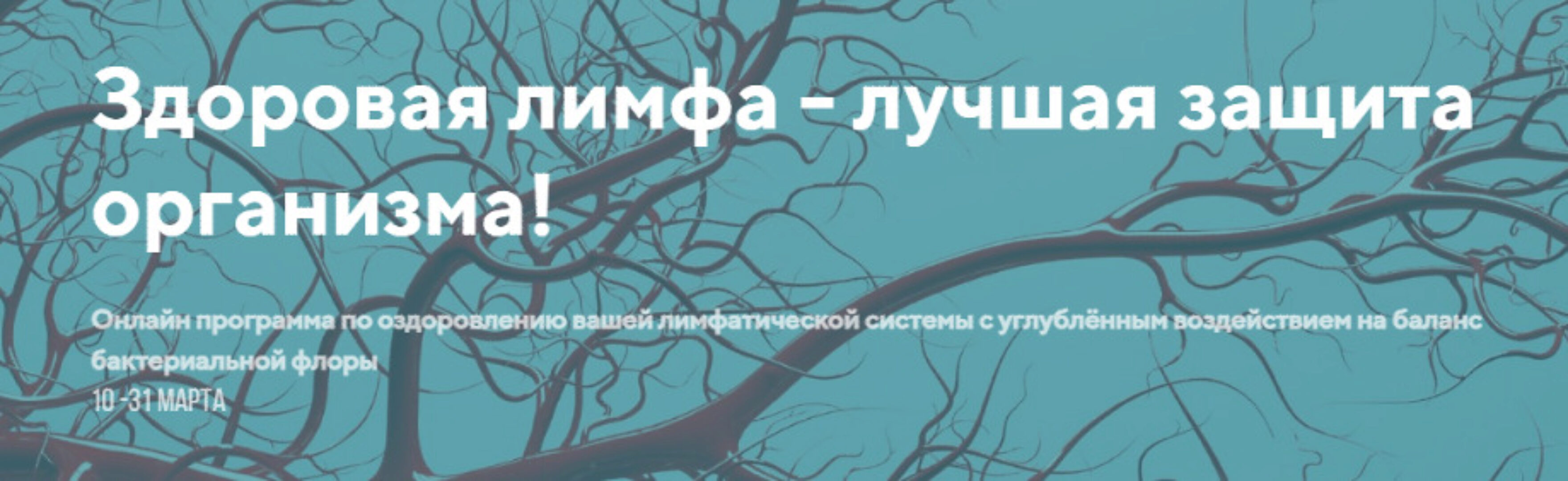 Здоровая лимфа - лучшая защита организма. Пакет Информативный (Светлана Калмыкова)