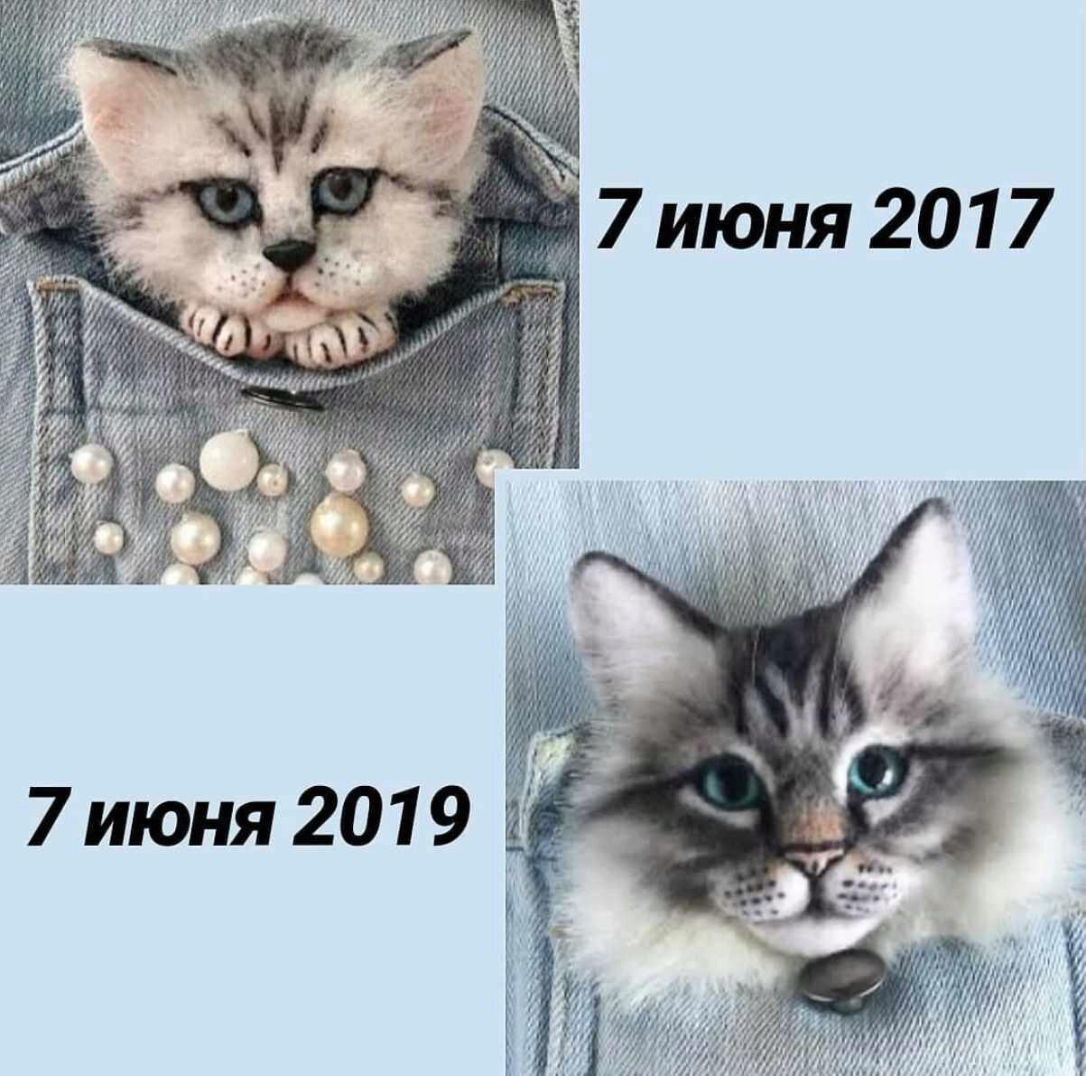 Коты (Марина Грубер)