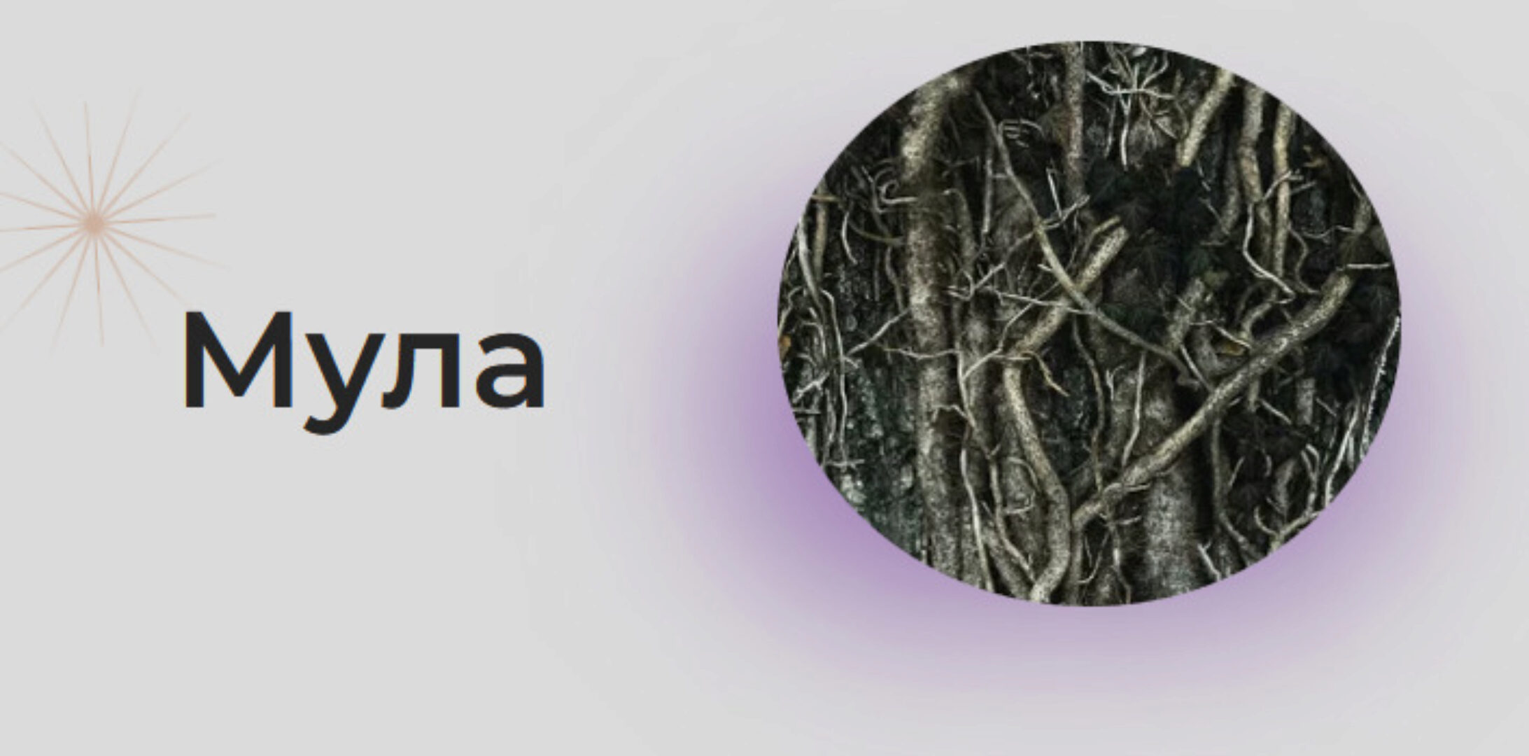 [Astrogreen] Накшатра Мула (Анна Воробьева)