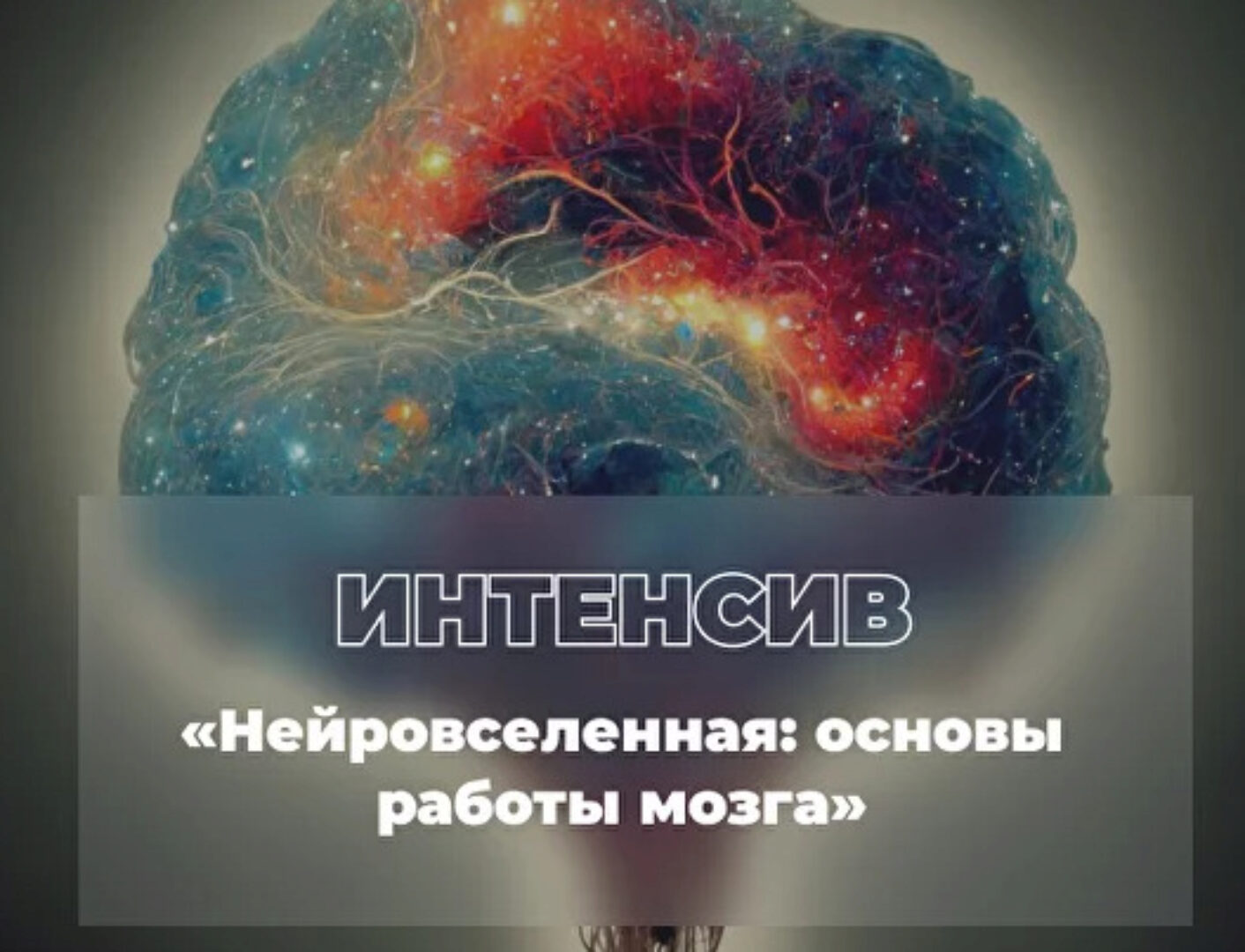 Нейровселенная: основы работы мозга (Екатерина Винник)