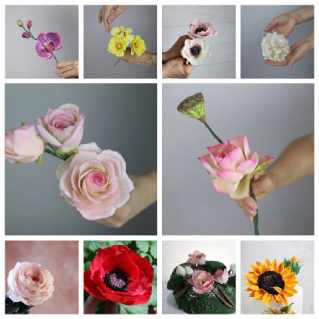 Полный сборник Цветы из пластичного шоколада + Бонусы  (Даяна Лус)