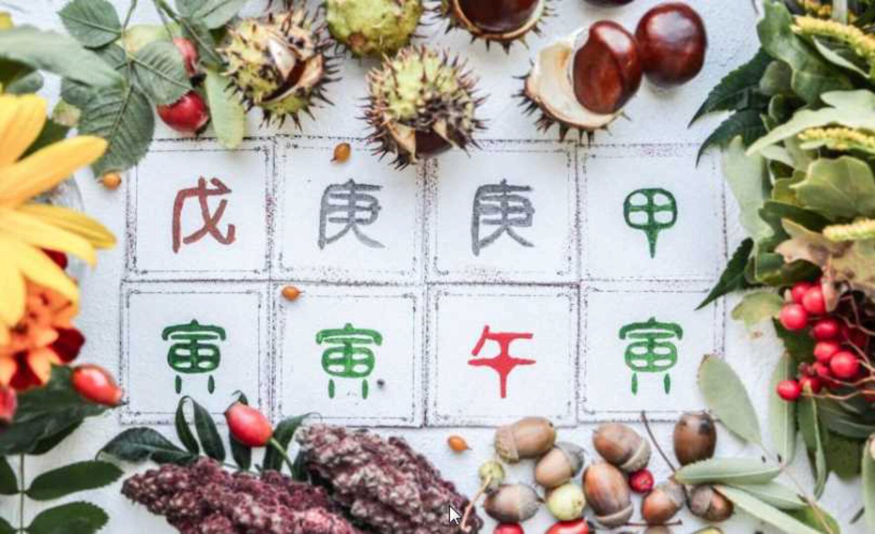 Коррекция судьбы через переезд по Ци Мень Дунь Дзя (Вита Орюджю)