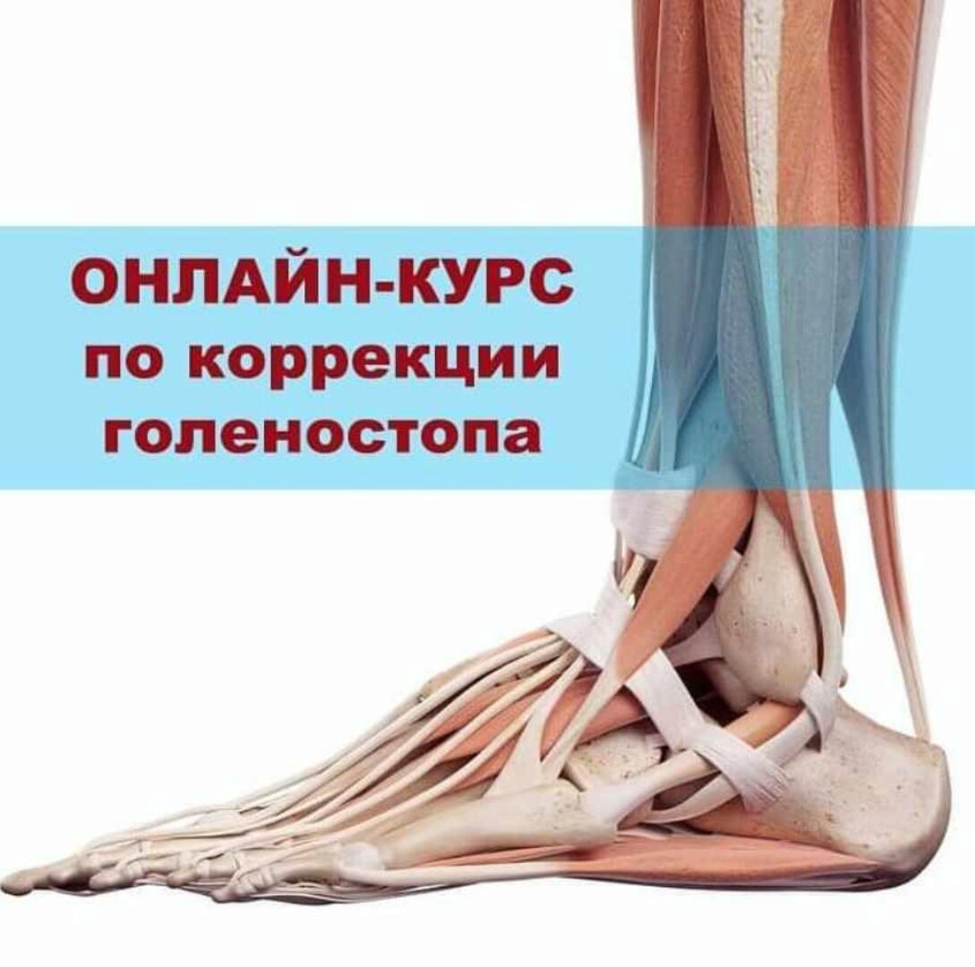Онлайн курс по коррекции голеностопа (Александр Киреев, Евгений Коган)