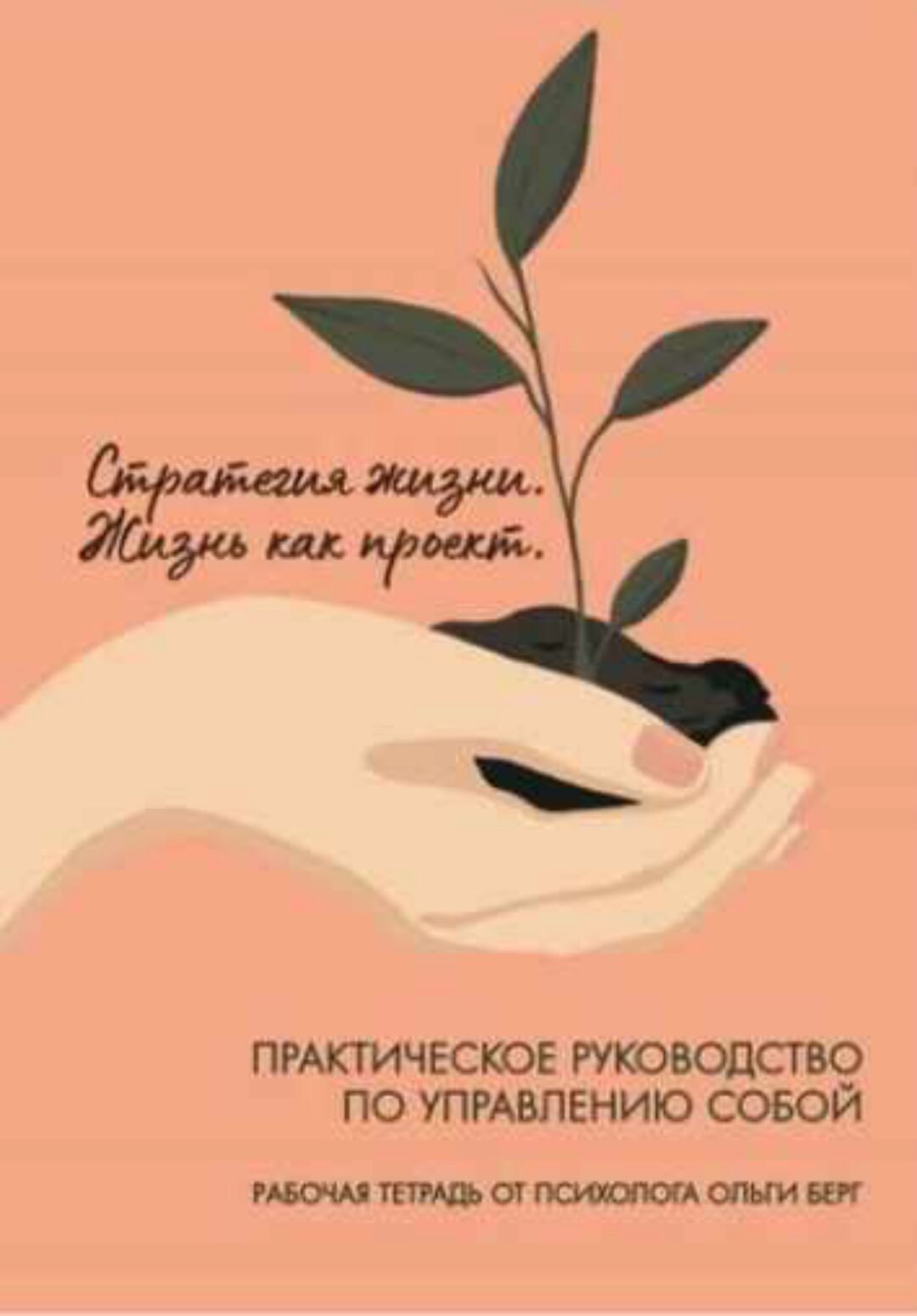 Рабочая тетрадь Стратегия жизни. Жизнь как проект (Ольга Берг)