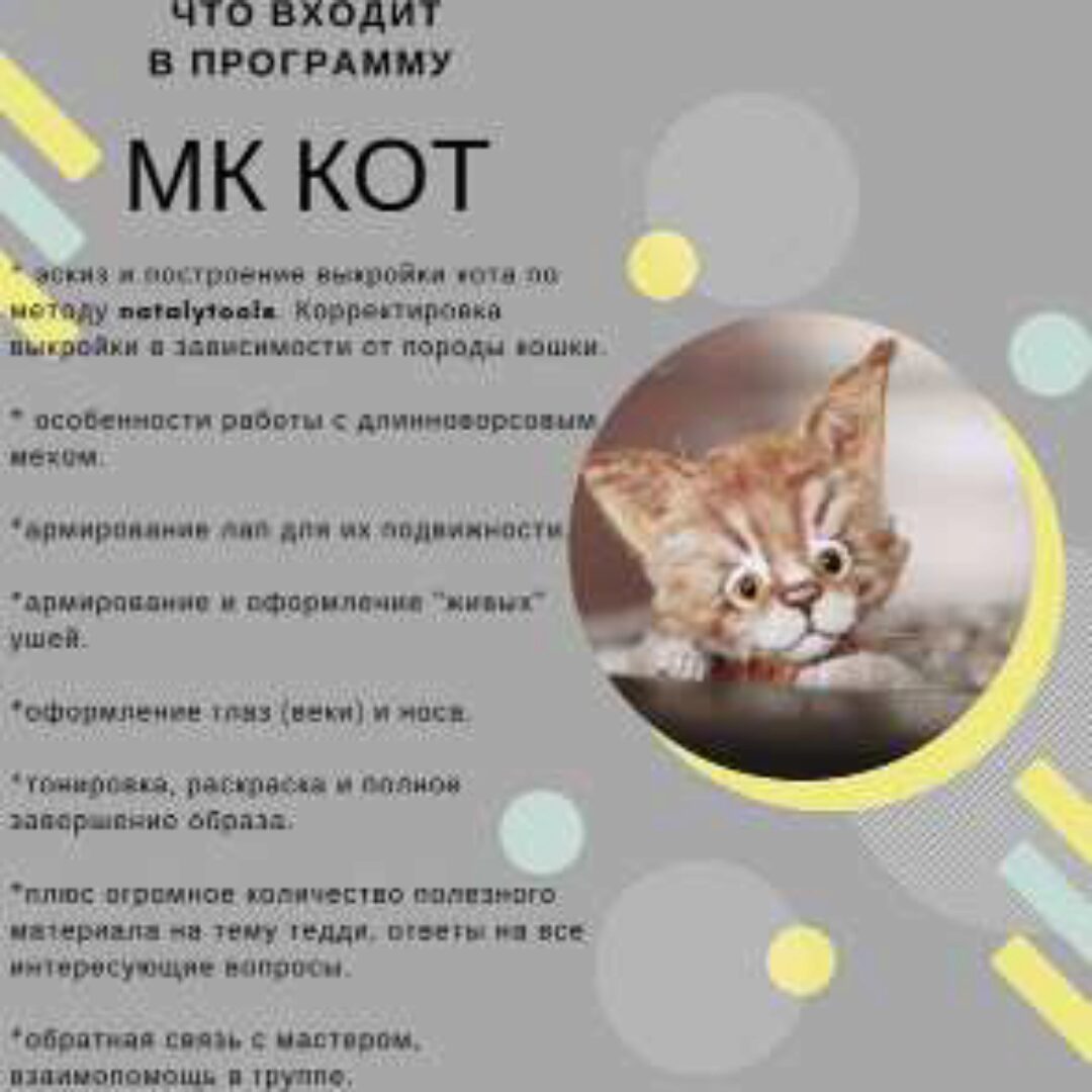 Кот (Наталья Толстыкина)