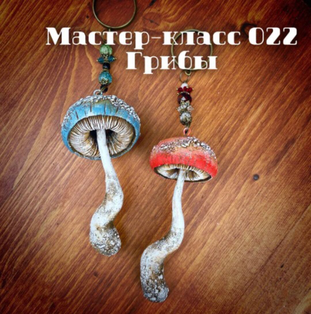 МК 022 «Грибы» (Елена Раевская)