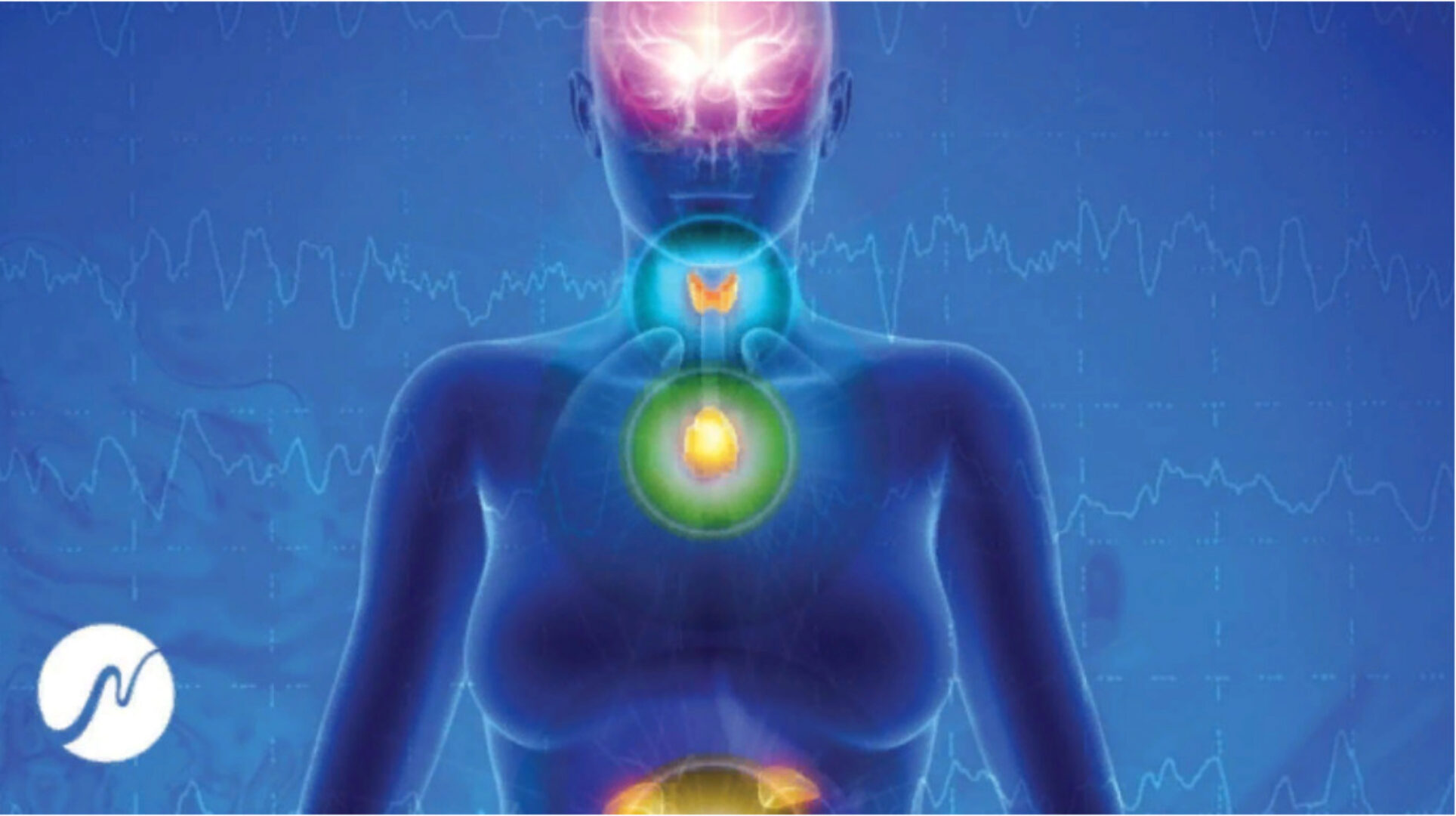 [neowake Biofrequencies] Омоложение эндокринной системы. Шишковидная железа, щитовидная железа, надпочечники - 537 Гц