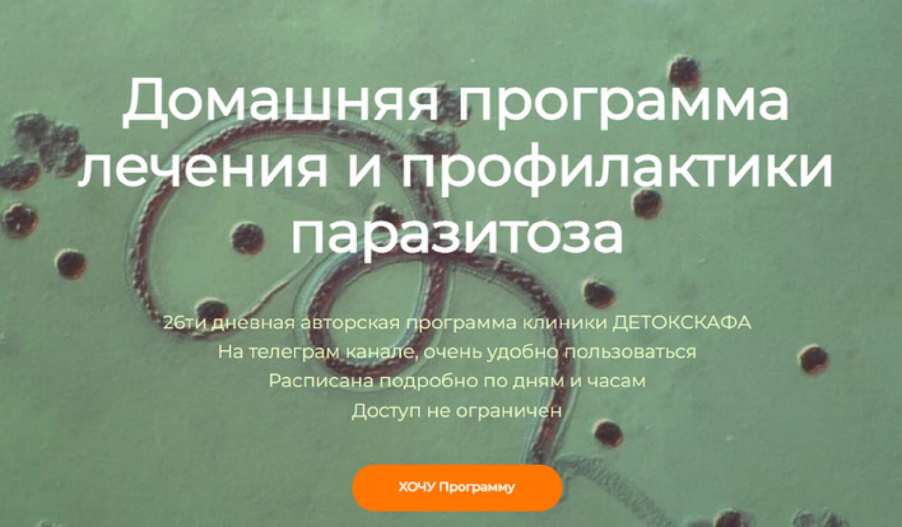 [detoxkafa] Домашняя программа лечения и профилактики паразитоза (Игорь Кауфман)