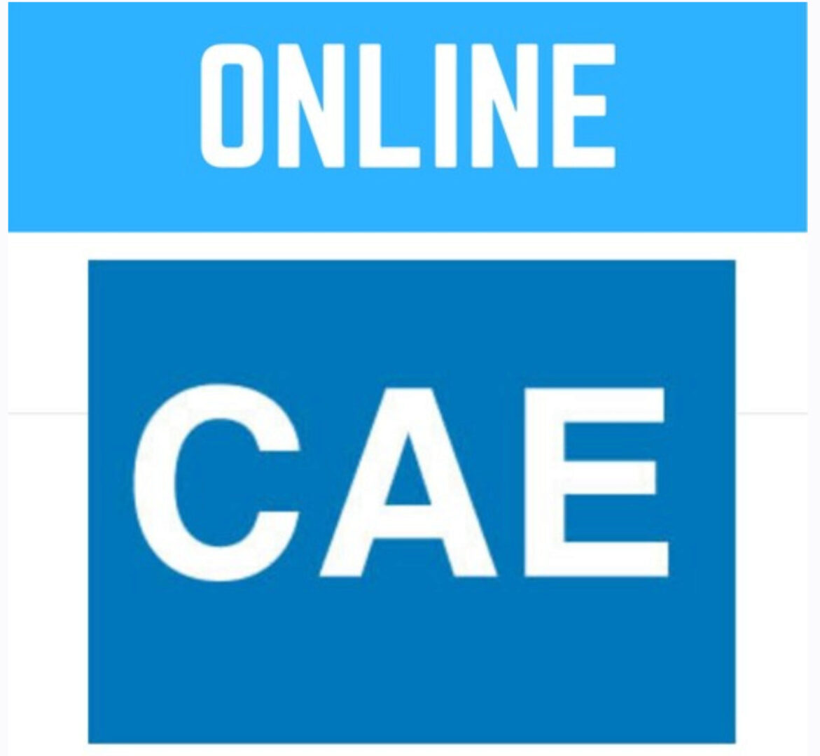 [Newson's Place] CAE – Certificate in Advanced English - C1 (whole course) (Paul Newson)
