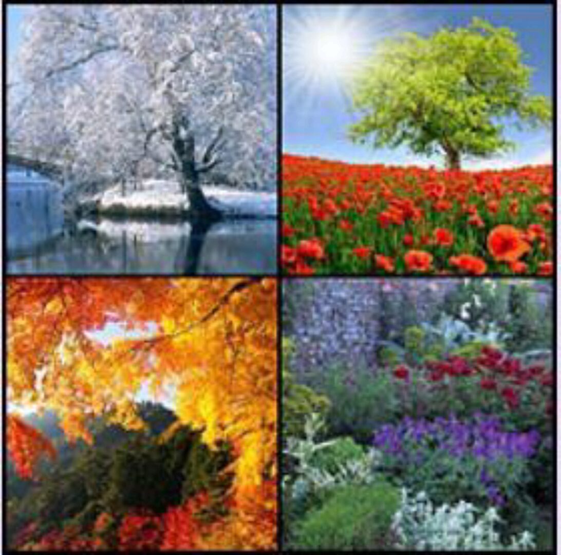 Цветотипы. Как найти и полюбить цвета своей внешности (Сабира Арефкина)