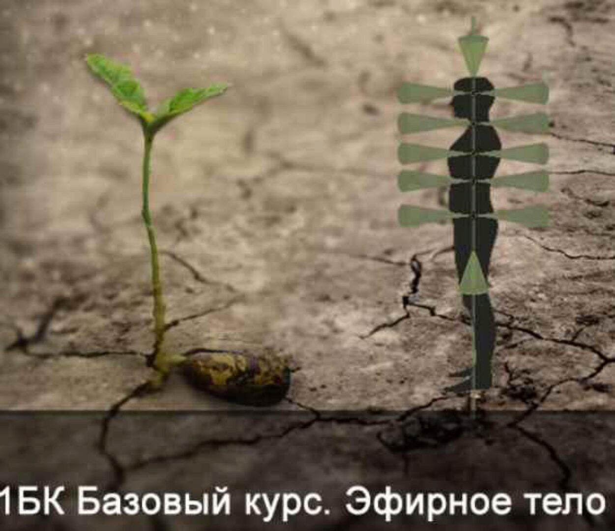 1БК Базовый курс. Эфирное тело. (без матрицы и книги) (Ксения Меньшикова)