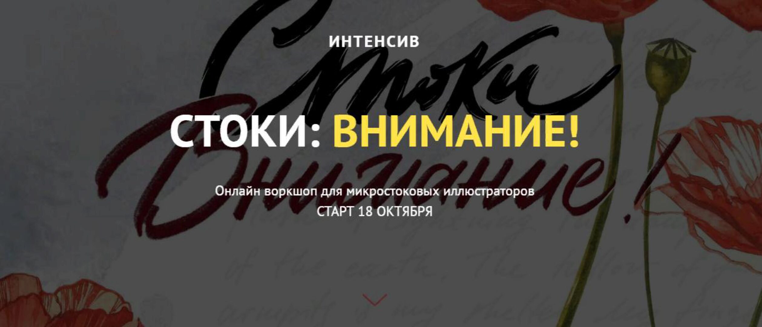 [Astro Ann] Стоки: внимание! Вариант без разбора работ (Анна Асетрова)