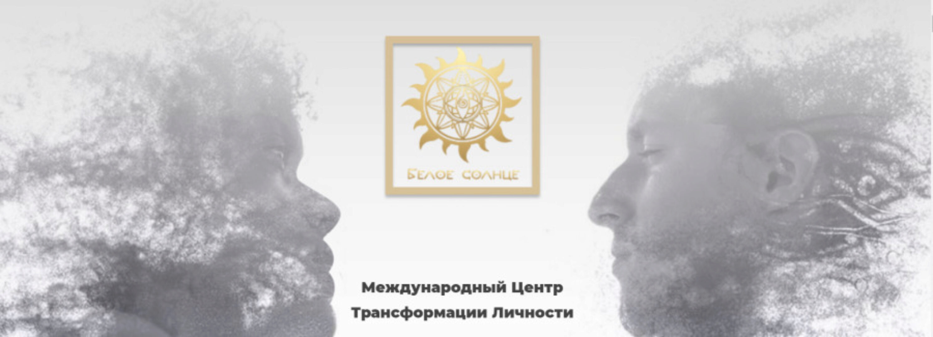 [Белое солнце] Матрица судьбы. Пакет Профессионал +  (Юлия Снеговая)