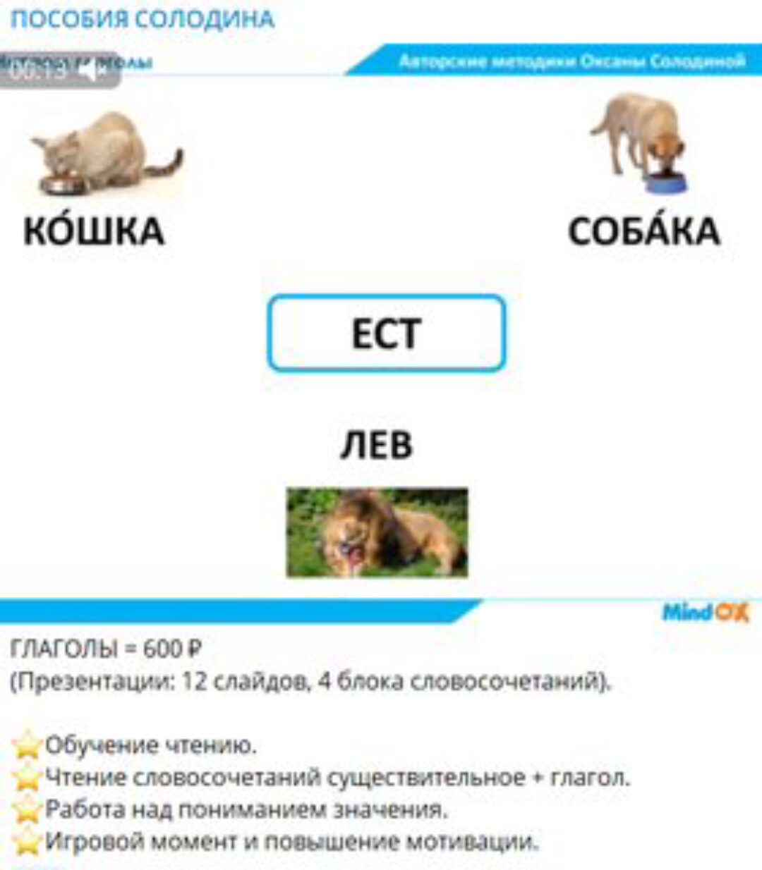 Пособие Глаголы (Оксана Солодина)