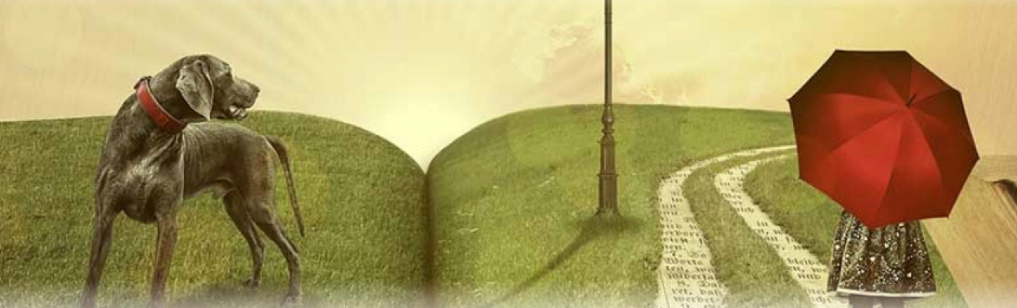 Здоровый сон (Александр Иваницкий)