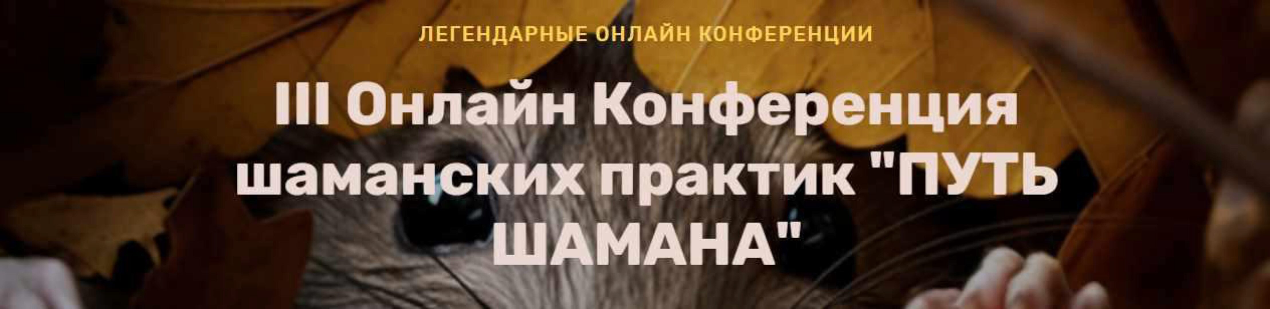 Шаманская позиция в нестабильном мире (Елена Веселаго)