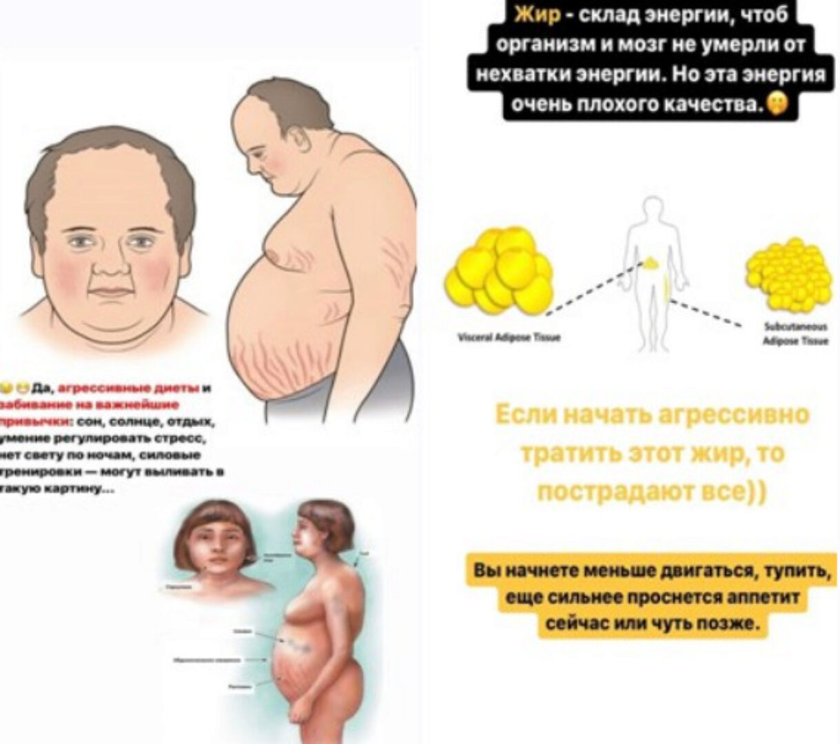 Марафон похудения (Александр Шопен)