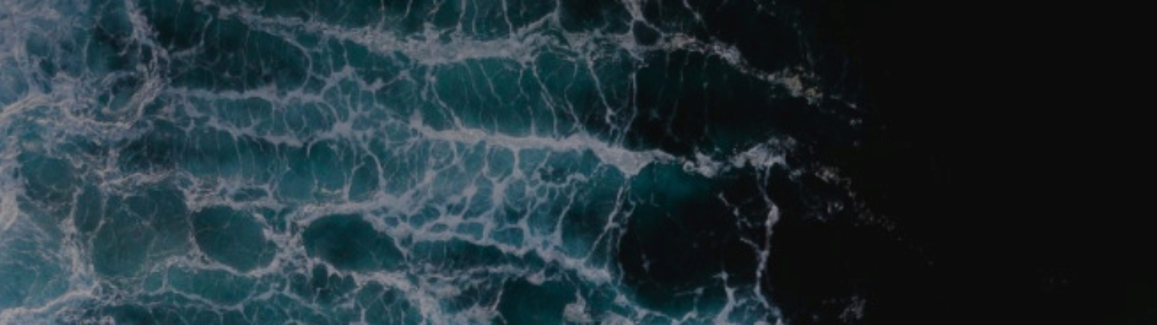 Исцеление иммунной системы (Ольга Коробейникова)