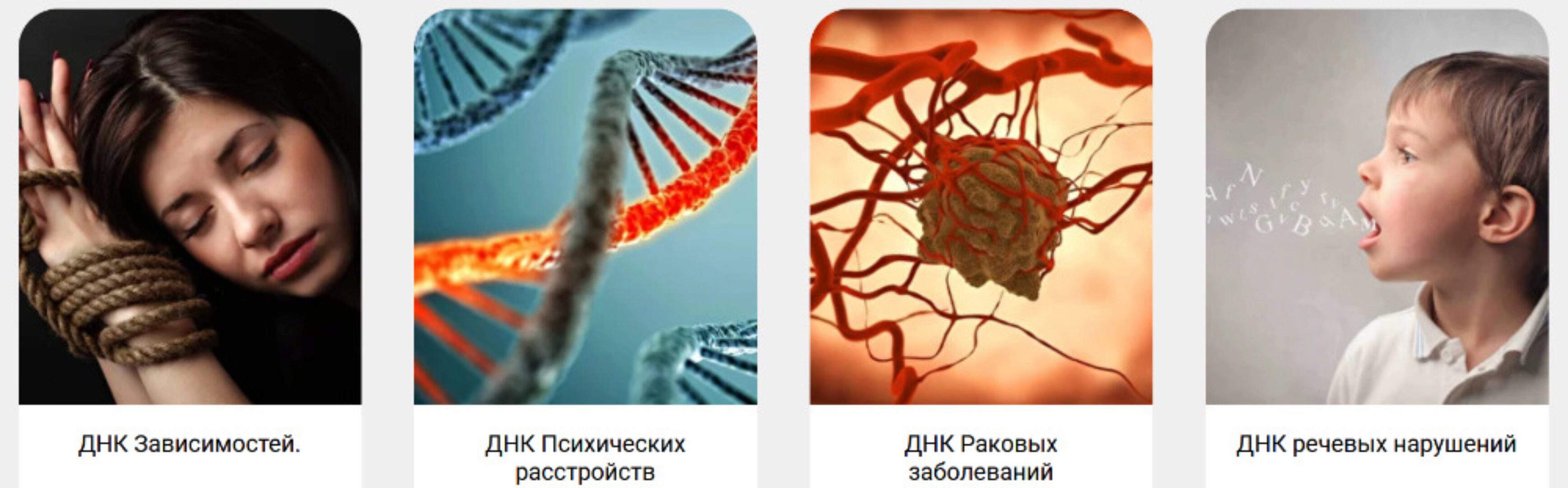 Трансформация ДНК. Весь курс  (Ольга Коробейникова)