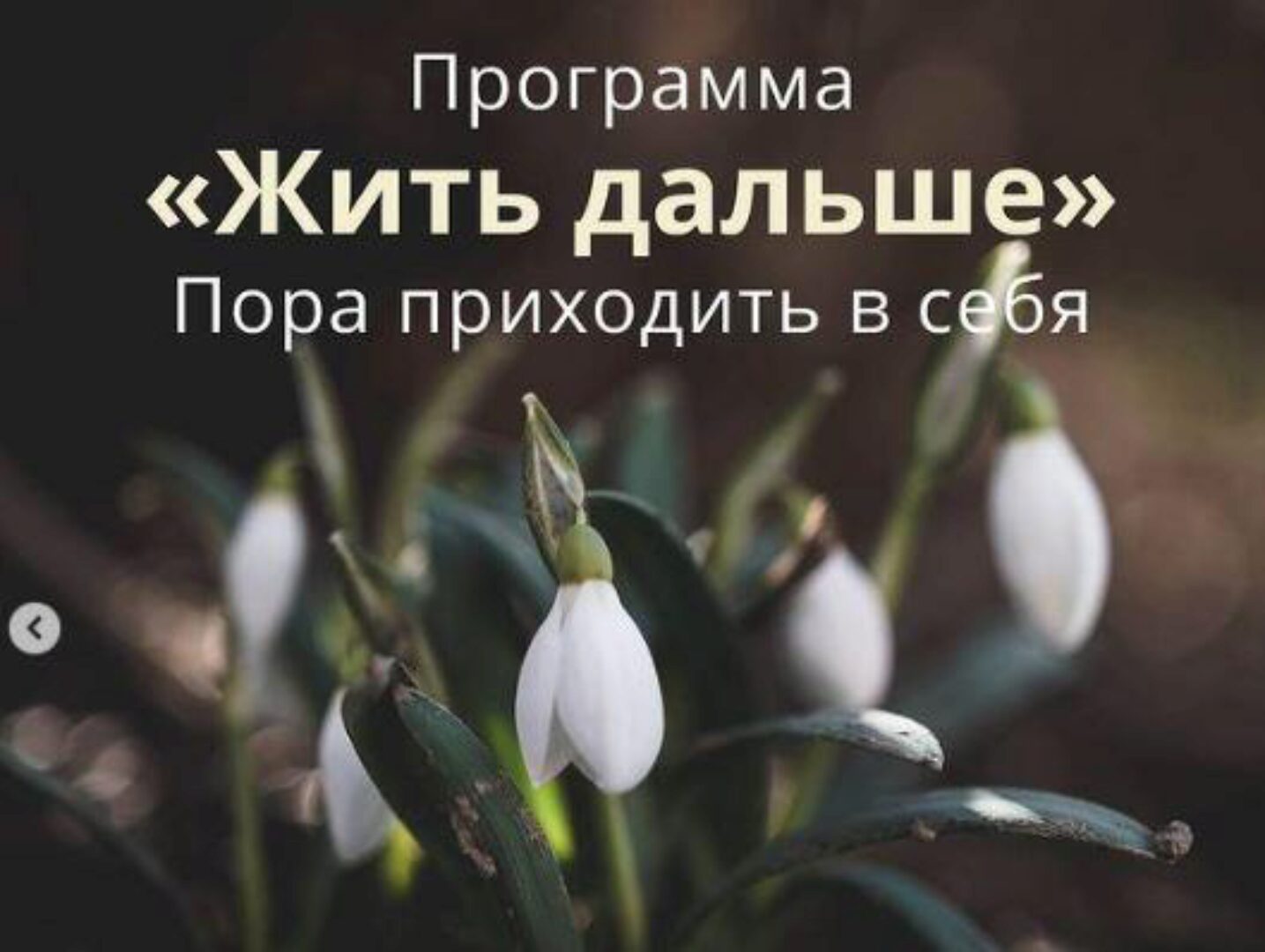 [Мозгоправня] Программа поддержки Жить дальше (Ника Набокова)