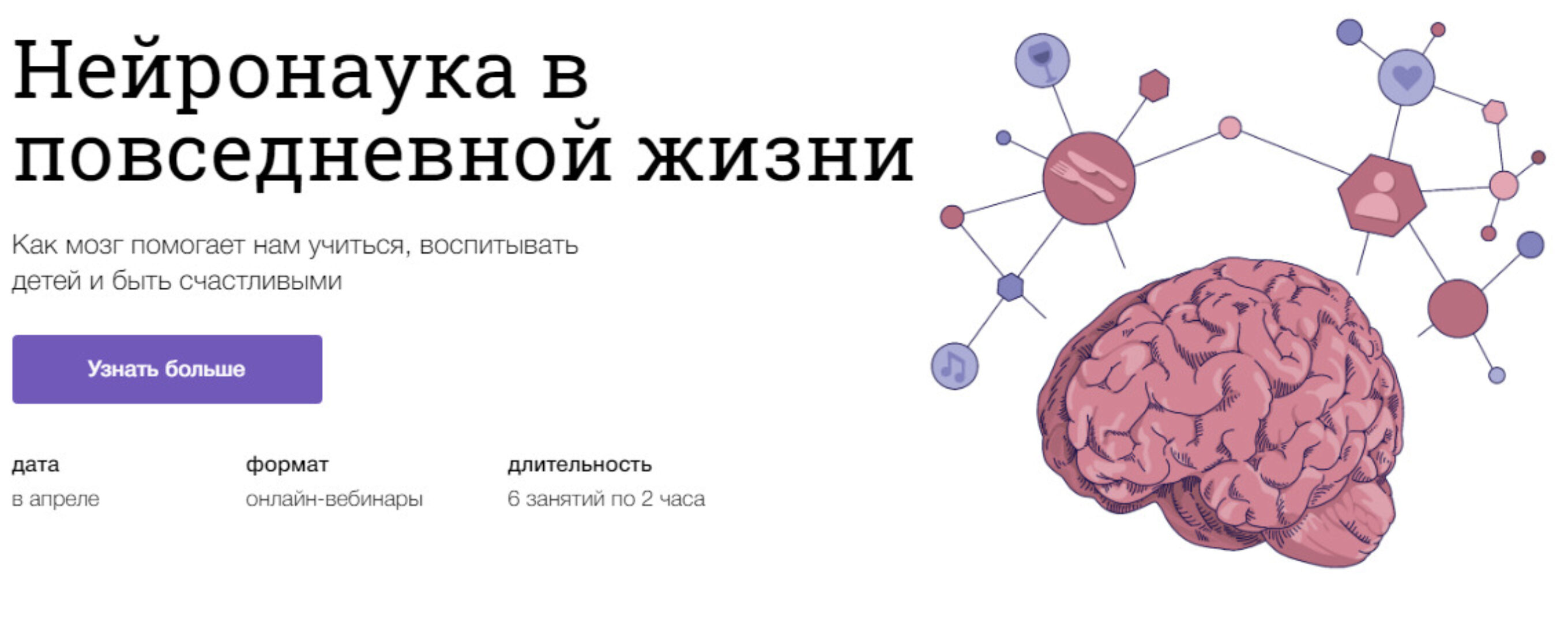 [Синхронизация] Нейронаука в повседневной жизни (Вячеслав Дубынин, Полина Кривых)