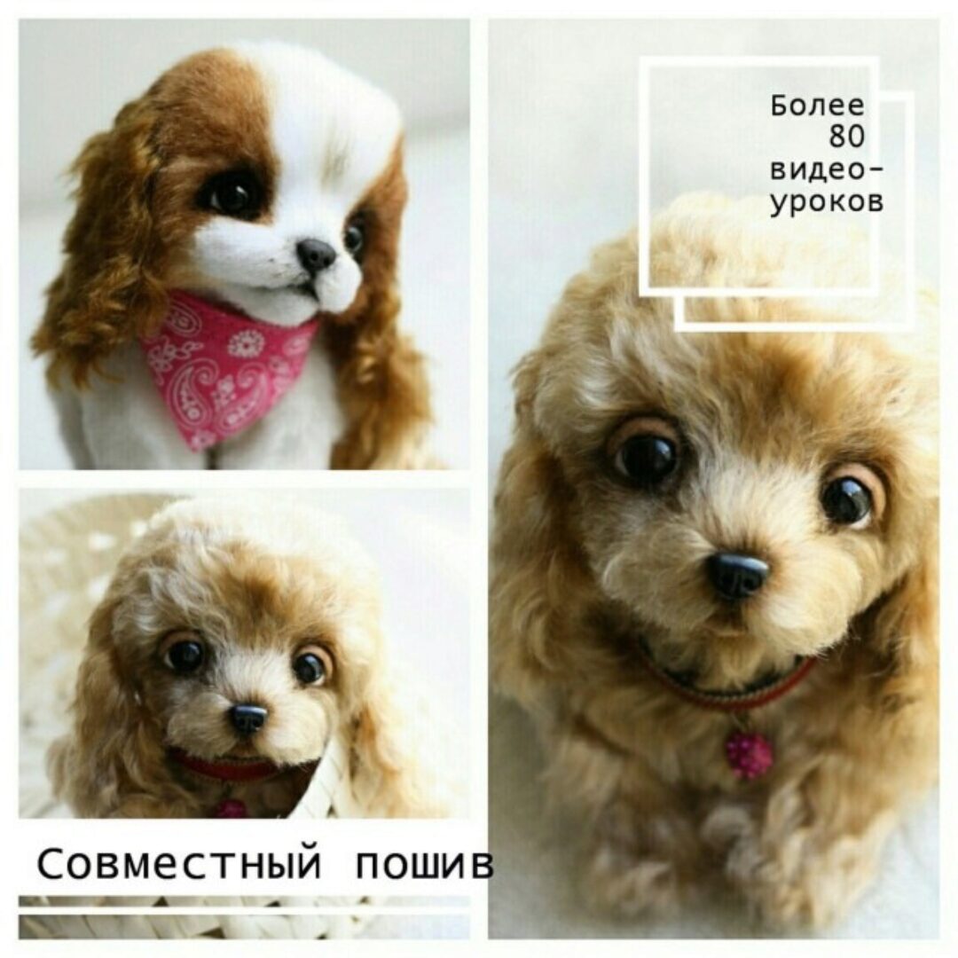 Совместный пошив «Кокер-спаниель» (Инна Борзенкова)