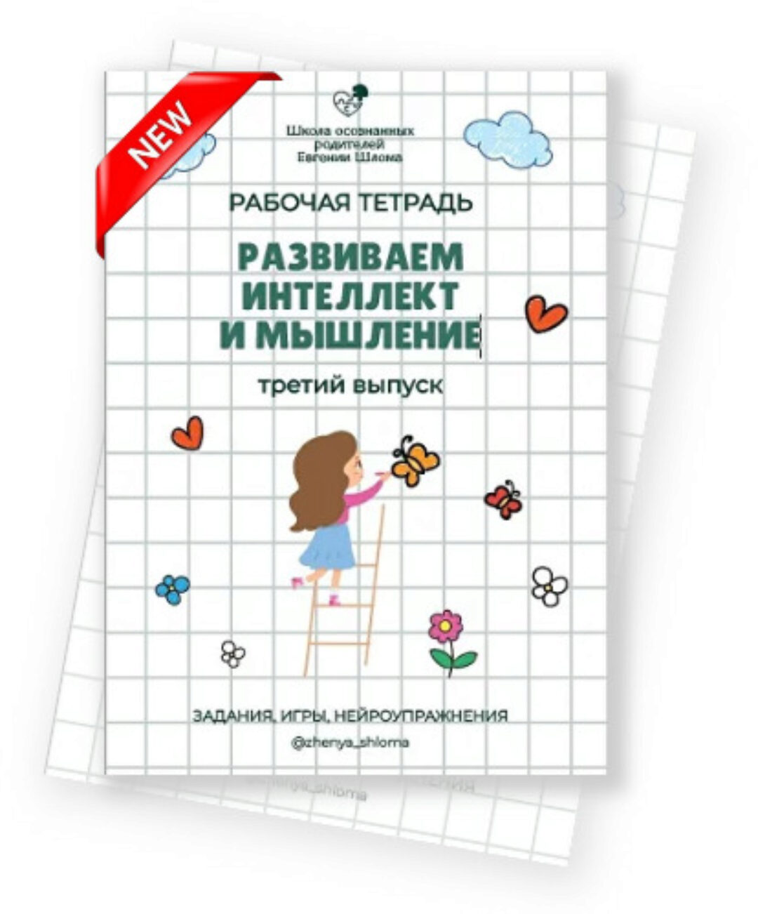 Развиваем интеллект и мышление. Третий выпуск (Евгения Шлома)