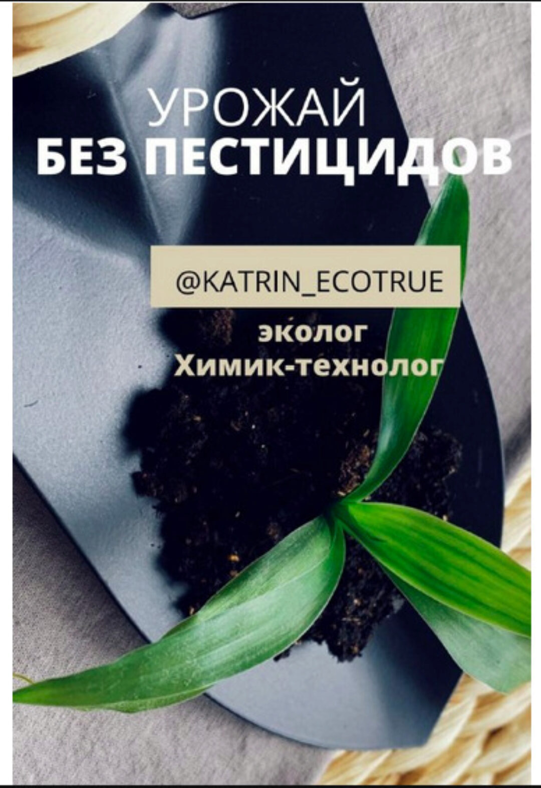 Гайд-помощник: Урожай без пестицидов. Ваш экологичный огород (katrin_ecotrue)